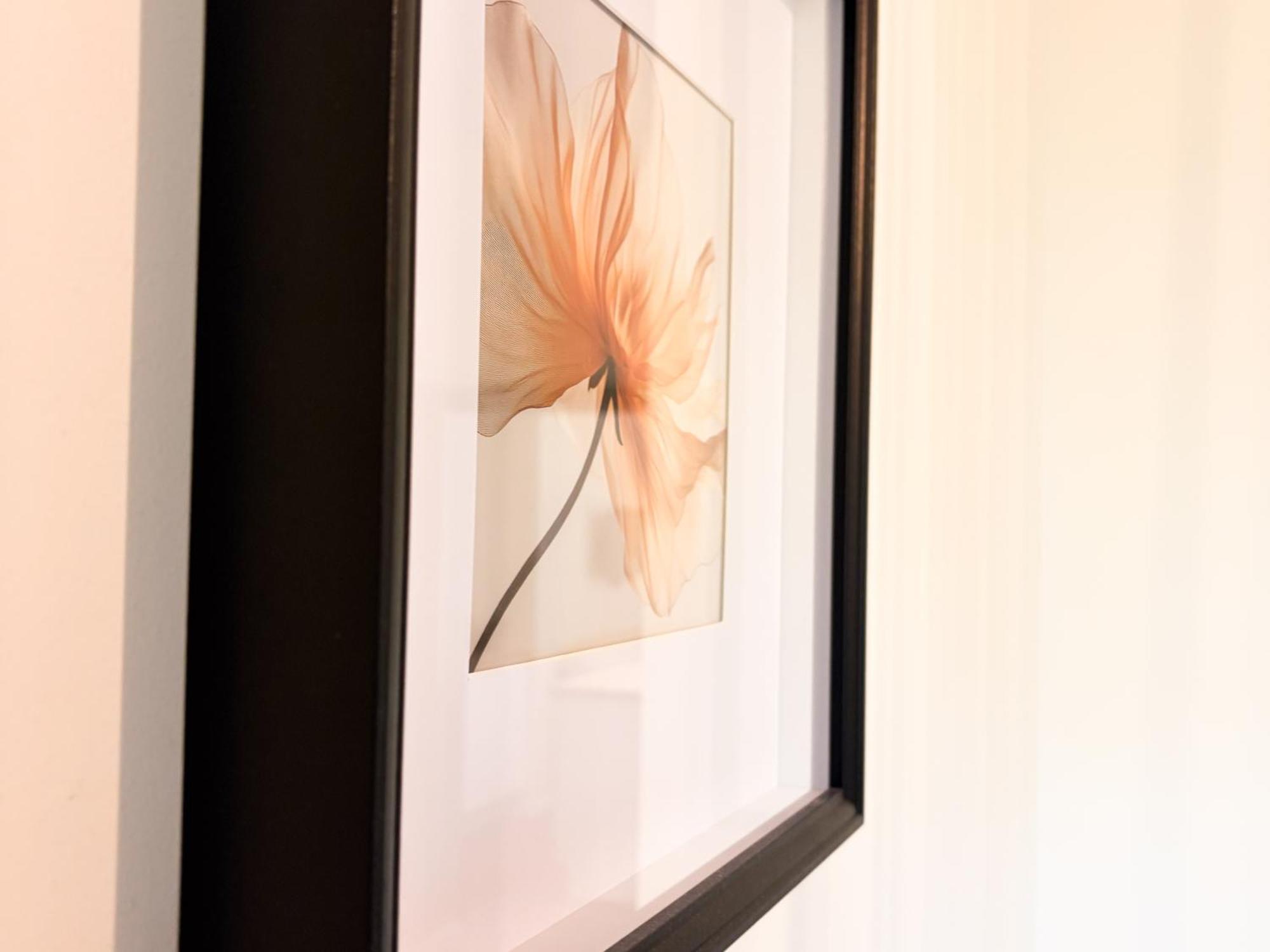 Le T2 De Plain-pied Appartement Clermont-Ferrand